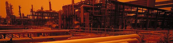 کلید حل معمای قیمت‌گذاری بلندمدت خوراک پتروشیمی